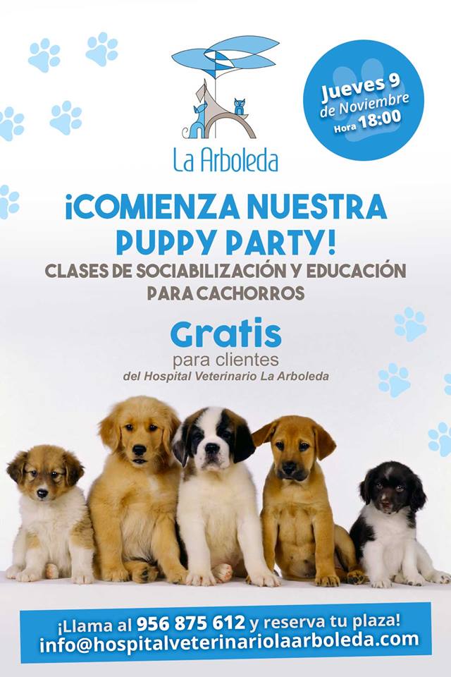 Adiestramiento de Cachorros