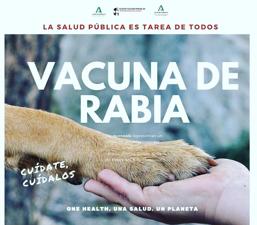 diamundialdelarabia